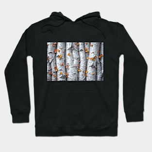 Aspen Tree Trunks - Landscape Hoodie